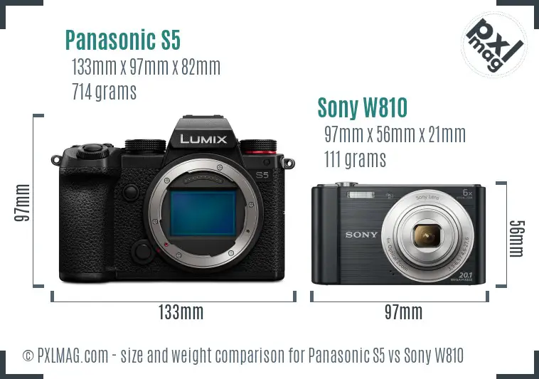 Panasonic S5 vs Sony W810 size comparison