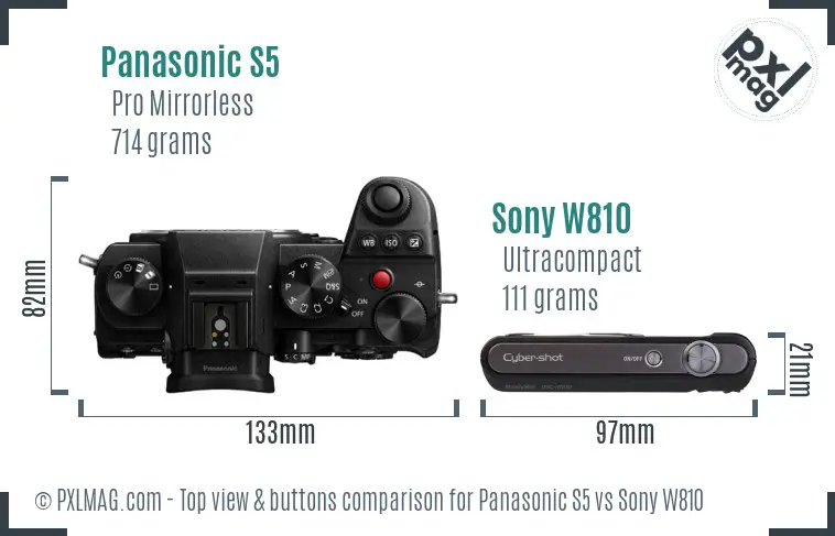 Panasonic S5 vs Sony W810 top view buttons comparison