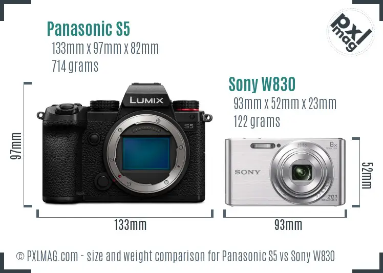 Panasonic S5 vs Sony W830 size comparison