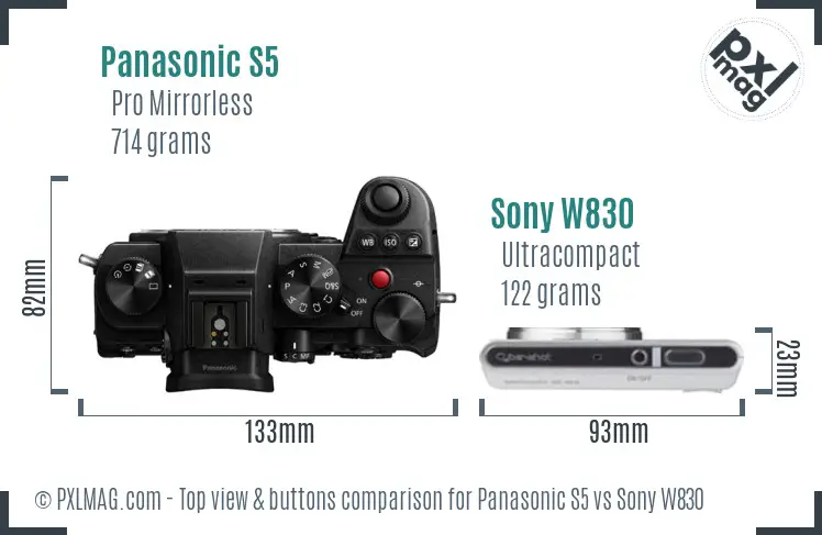 Panasonic S5 vs Sony W830 top view buttons comparison