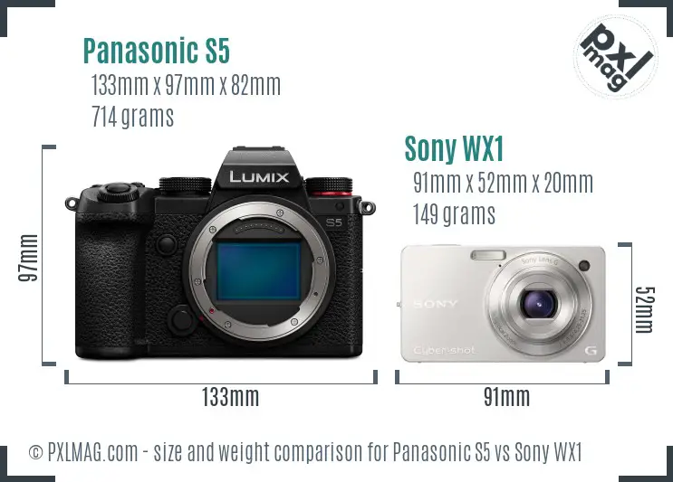 Panasonic S5 vs Sony WX1 size comparison