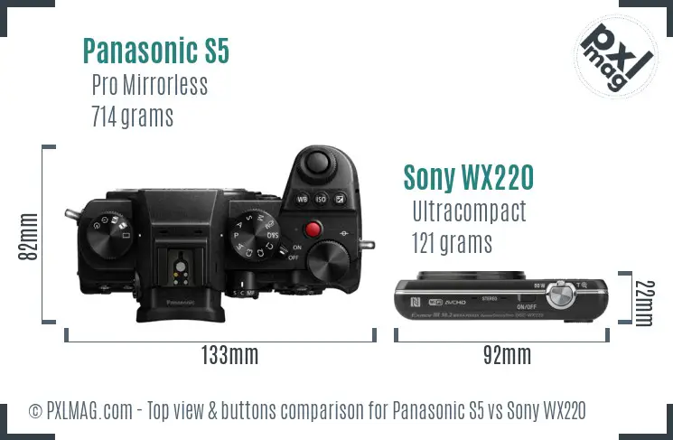 Panasonic S5 vs Sony WX220 top view buttons comparison