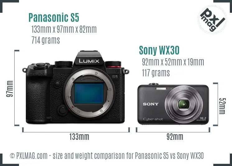 Panasonic S5 vs Sony WX30 size comparison