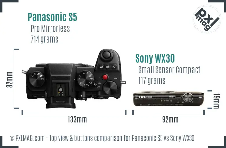 Panasonic S5 vs Sony WX30 top view buttons comparison