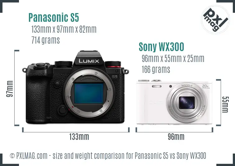 Panasonic S5 vs Sony WX300 size comparison