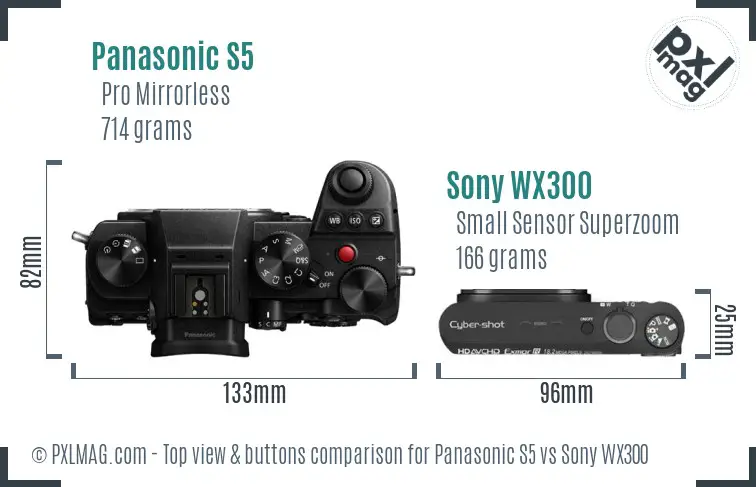 Panasonic S5 vs Sony WX300 top view buttons comparison