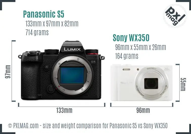 Panasonic S5 vs Sony WX350 size comparison