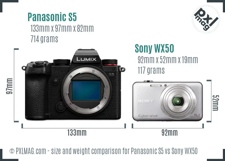 Panasonic S5 vs Sony WX50 size comparison