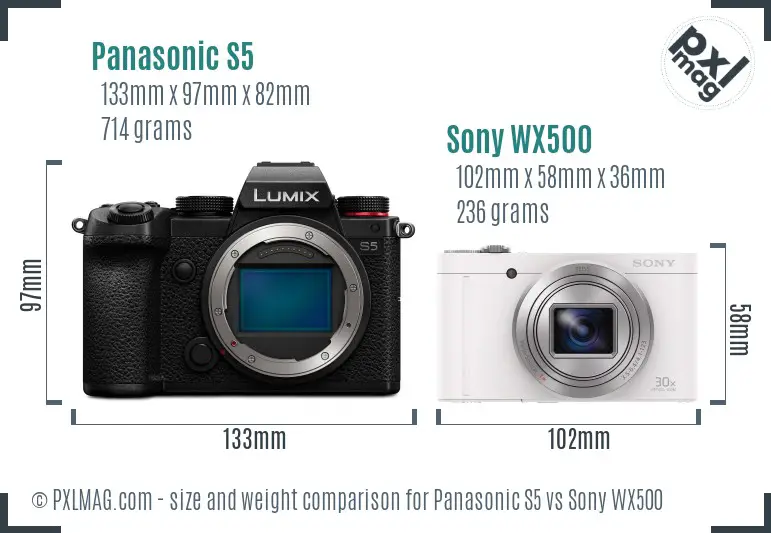 Panasonic S5 vs Sony WX500 size comparison