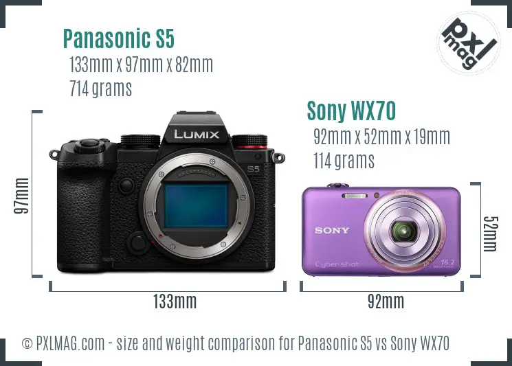 Panasonic S5 vs Sony WX70 size comparison