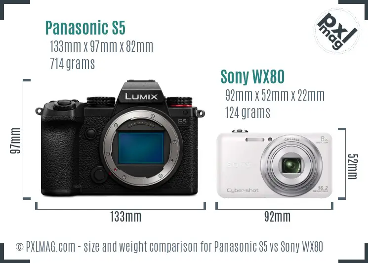 Panasonic S5 vs Sony WX80 size comparison