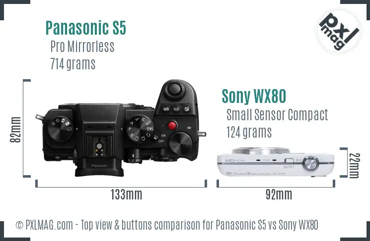 Panasonic S5 vs Sony WX80 top view buttons comparison