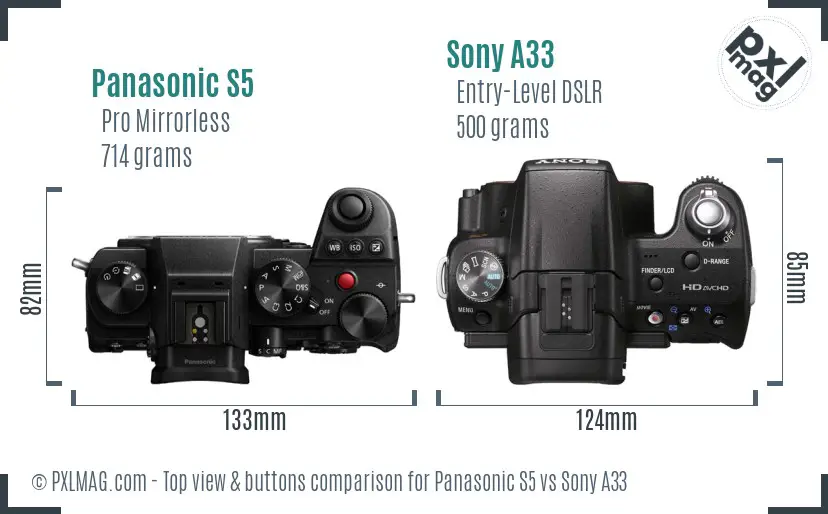 Panasonic S5 vs Sony A33 top view buttons comparison