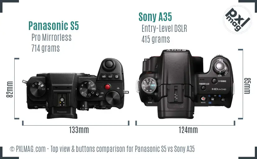 Panasonic S5 vs Sony A35 top view buttons comparison