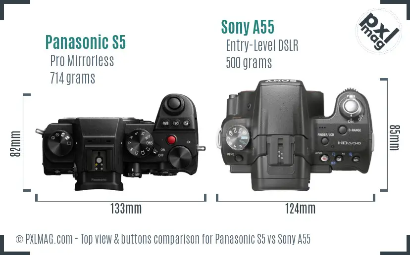 Panasonic S5 vs Sony A55 top view buttons comparison Panasonic S5 vs Sony A55 top view buttons comparison