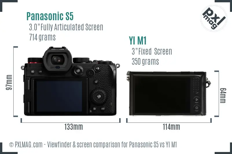 Panasonic S5 vs YI M1 Screen and Viewfinder comparison