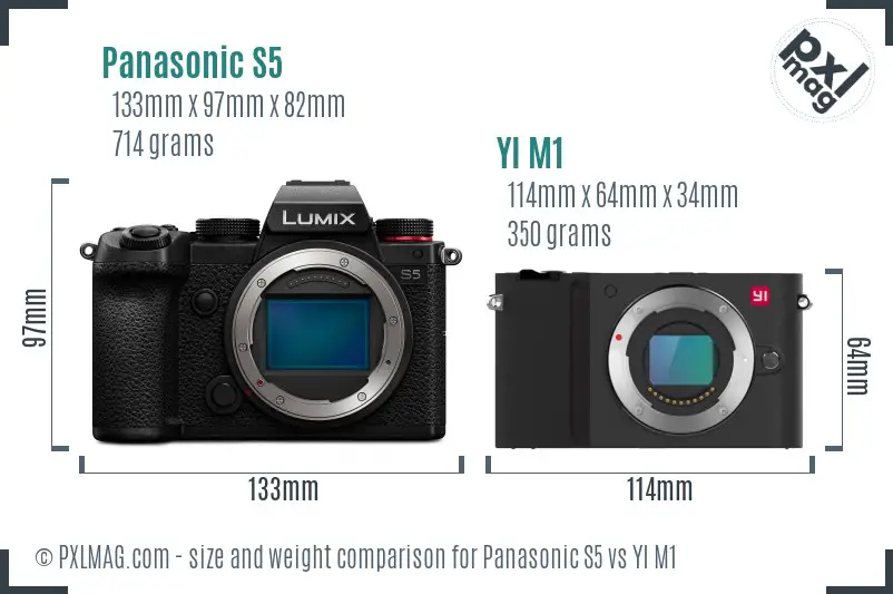 Panasonic S5 vs YI M1 size comparison