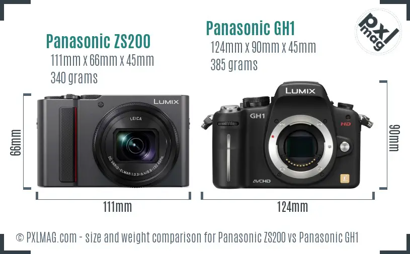 Panasonic ZS200 vs Panasonic GH1 size comparison