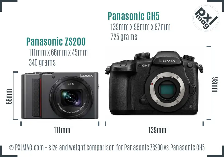 Panasonic ZS200 vs Panasonic GH5 size comparison Panasonic ZS200 vs Panasonic GH5 size comparison