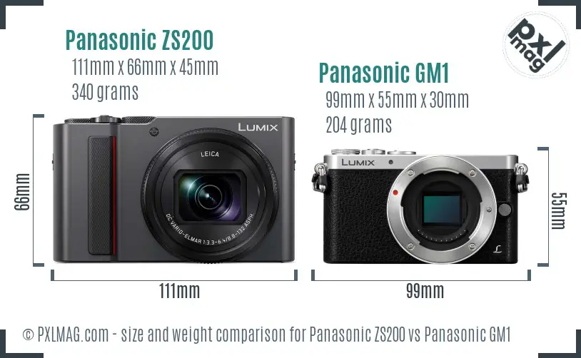 Panasonic ZS200 vs Panasonic GM1 size comparison
