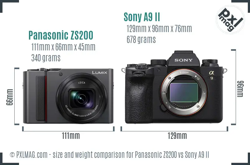 Panasonic ZS200 vs Sony A9 II size comparison