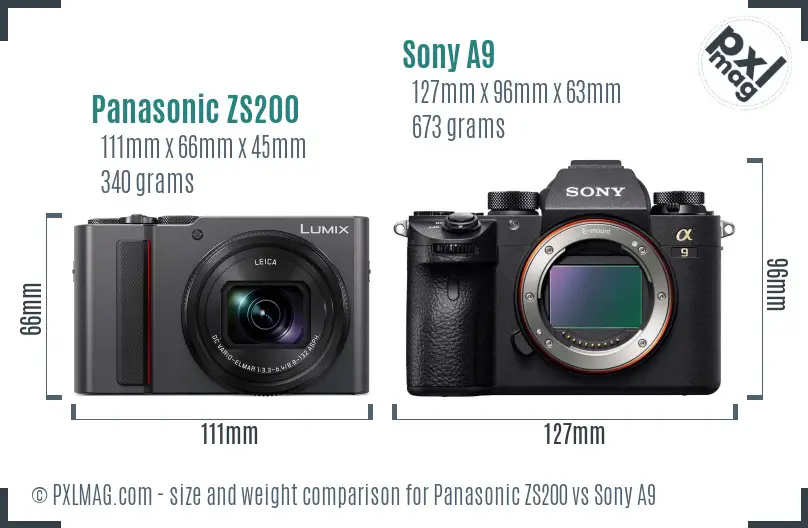 Panasonic ZS200 vs Sony A9 size comparison