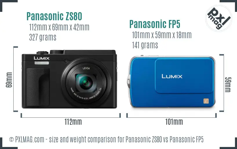 Panasonic ZS80 vs Panasonic FP5 size comparison