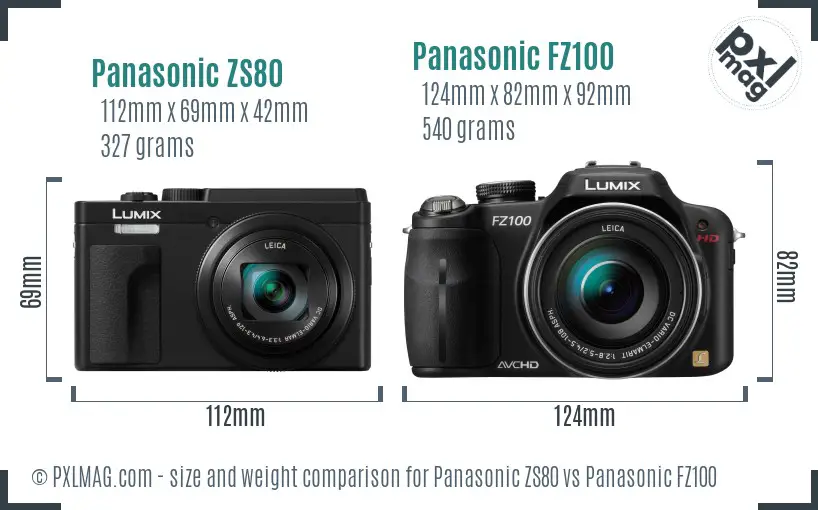 Panasonic ZS80 vs Panasonic FZ100 size comparison