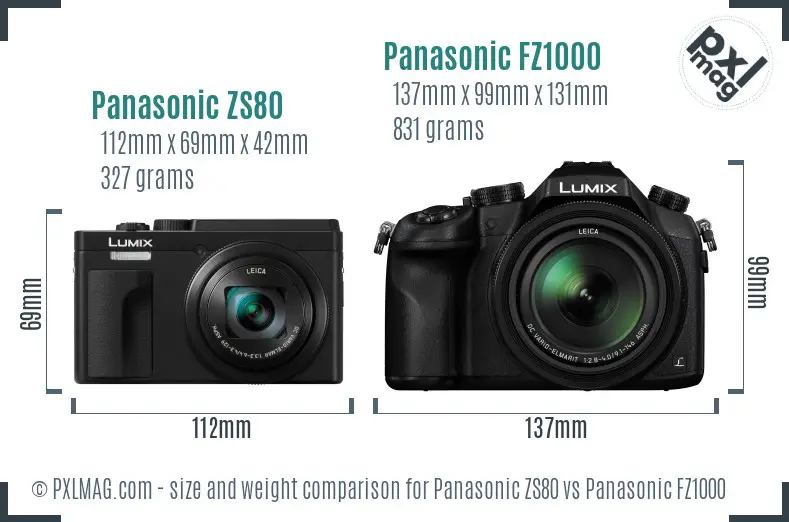 Panasonic ZS80 vs Panasonic FZ1000 size comparison