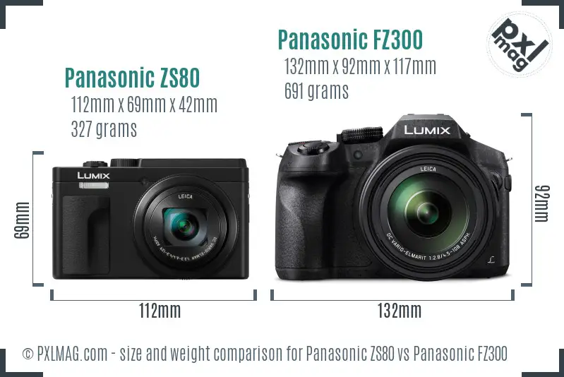 Panasonic ZS80 vs Panasonic FZ300 size comparison