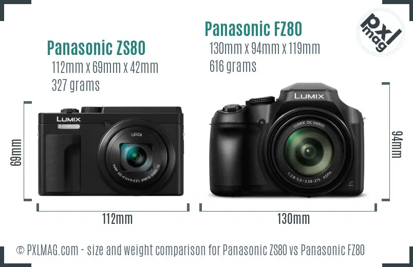 Panasonic ZS80 vs Panasonic FZ80 size comparison
