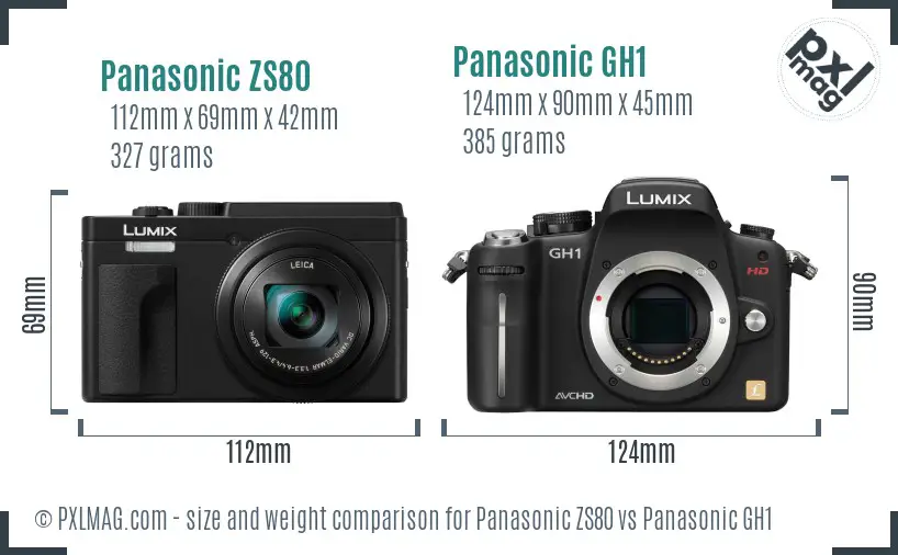 Panasonic ZS80 vs Panasonic GH1 size comparison