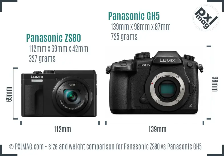 Panasonic ZS80 vs Panasonic GH5 size comparison