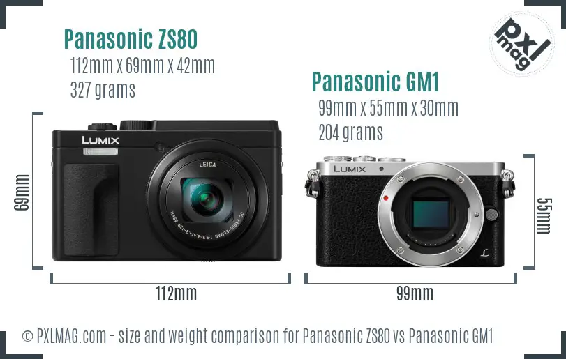 Panasonic ZS80 vs Panasonic GM1 size comparison