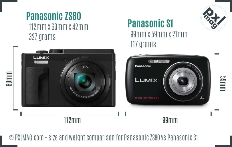 Panasonic ZS80 vs Panasonic S1 size comparison