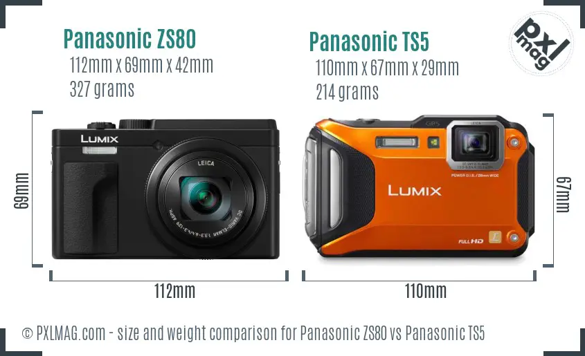 Panasonic ZS80 vs Panasonic TS5 size comparison