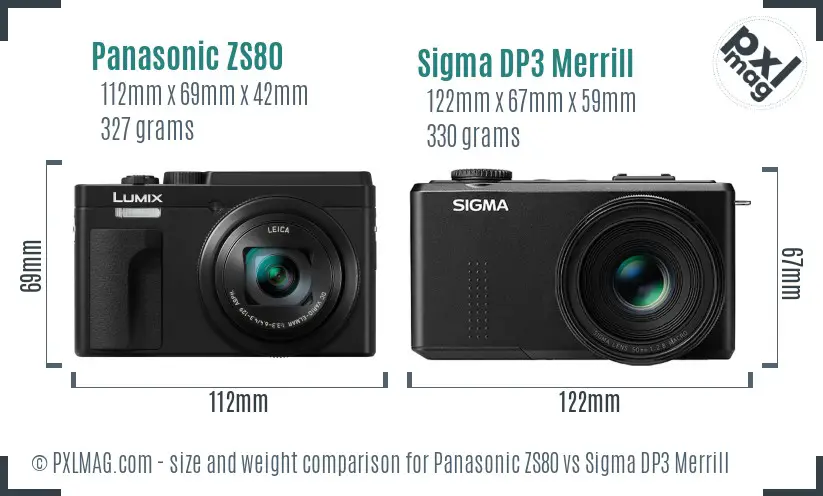 Panasonic ZS80 vs Sigma DP3 Merrill size comparison