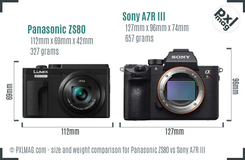 Panasonic ZS80 vs Sony A7R III size comparison
