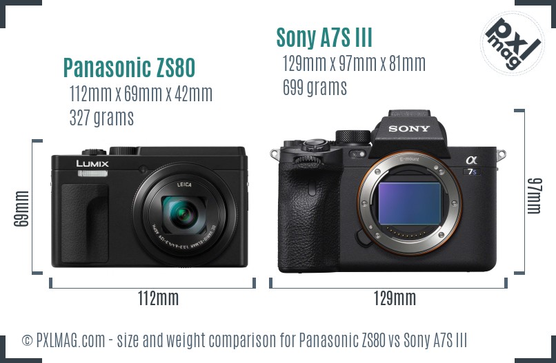 Panasonic ZS80 vs Sony A7S III size comparison Panasonic ZS80 vs Sony A7S III size comparison