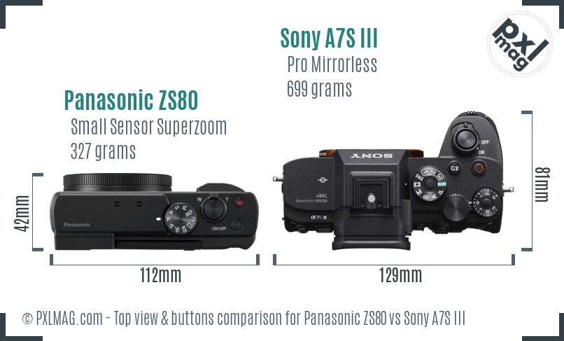 Panasonic ZS80 vs Sony A7S III top view buttons comparison