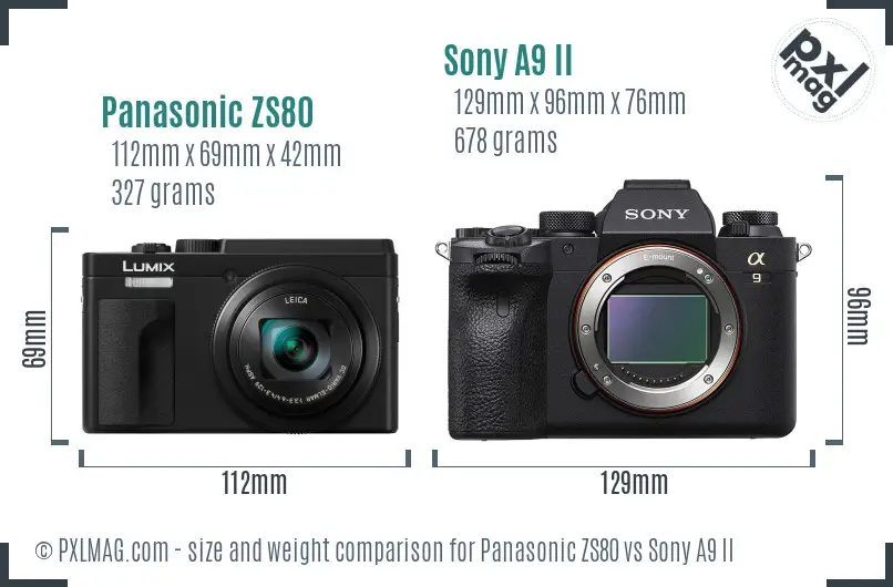 Panasonic ZS80 vs Sony A9 II size comparison