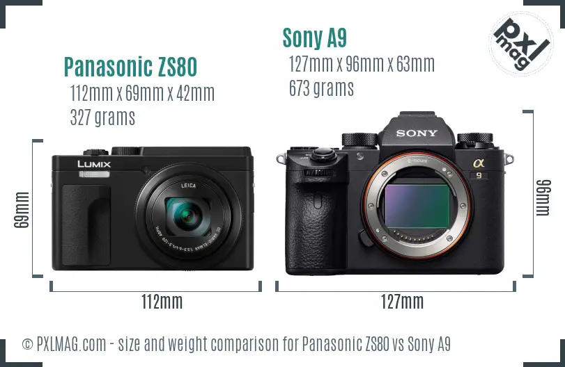 Panasonic ZS80 vs Sony A9 size comparison