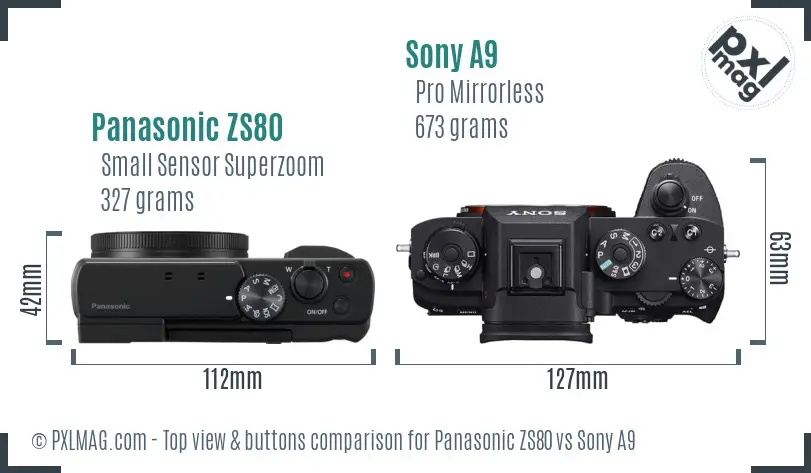 Panasonic ZS80 vs Sony A9 top view buttons comparison