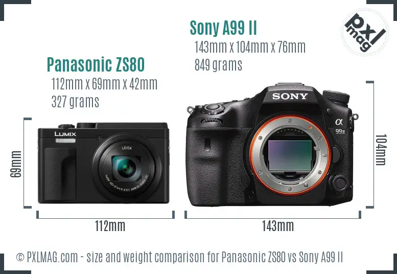 Panasonic ZS80 vs Sony A99 II size comparison