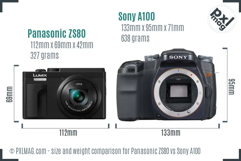 Panasonic ZS80 vs Sony A100 size comparison