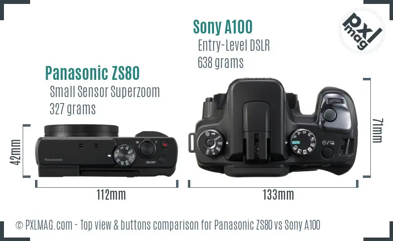 Panasonic ZS80 vs Sony A100 top view buttons comparison