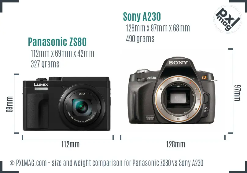 Panasonic ZS80 vs Sony A230 size comparison