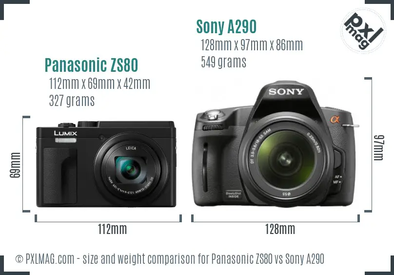 Panasonic ZS80 vs Sony A290 size comparison