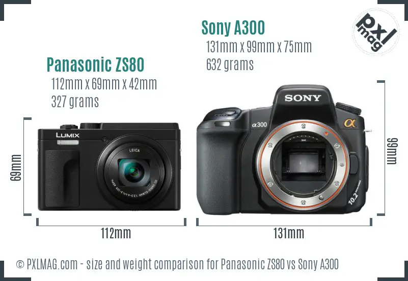 Panasonic ZS80 vs Sony A300 size comparison