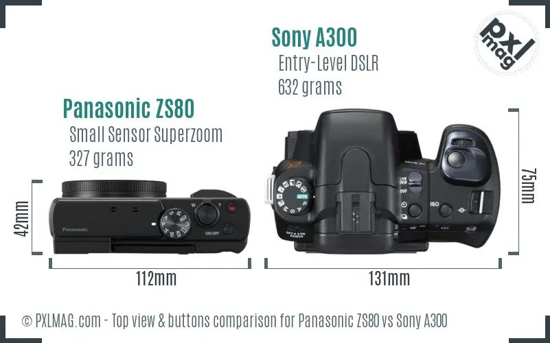 Panasonic ZS80 vs Sony A300 top view buttons comparison